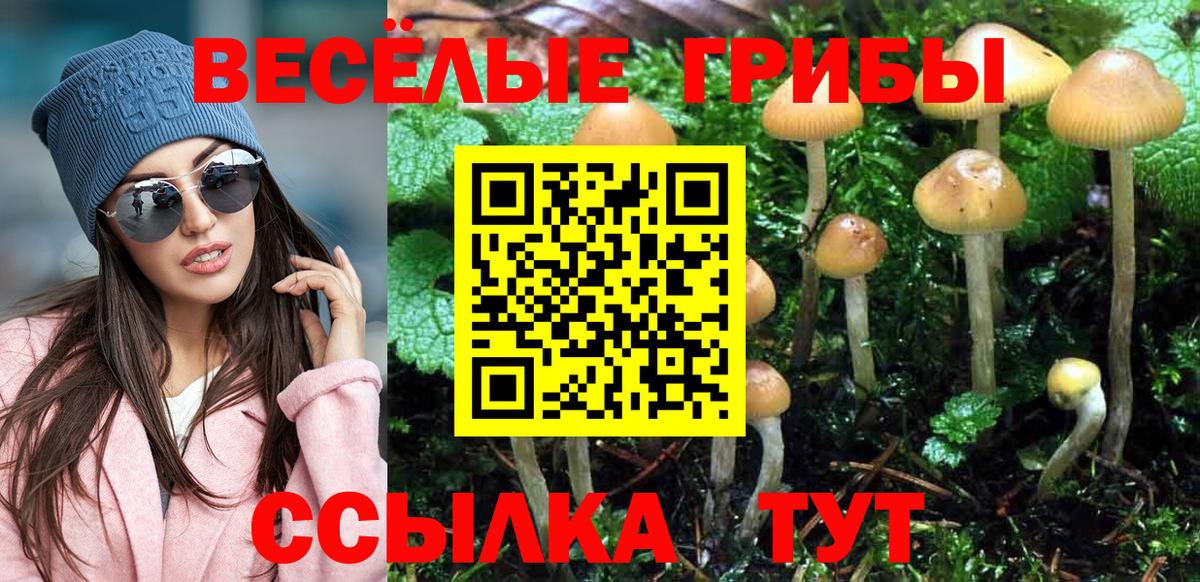 Галлюциногенные грибы GOLDEN TEACHER Подольск
